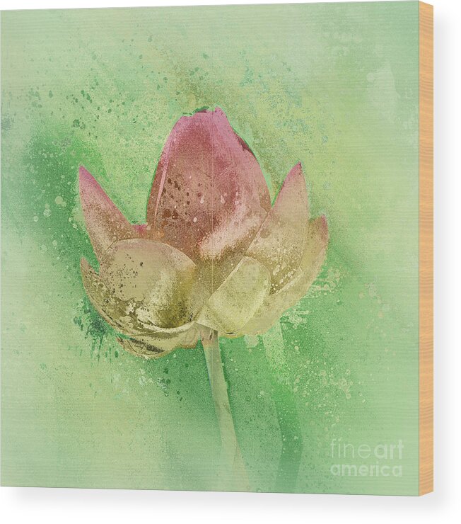 Lily Wood Print featuring the mixed media Lily my Lovely - s112sqc88 by Variance Collections