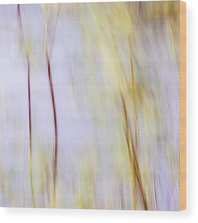 Impressionism Wood Print featuring the photograph Limbs by Deborah Hughes