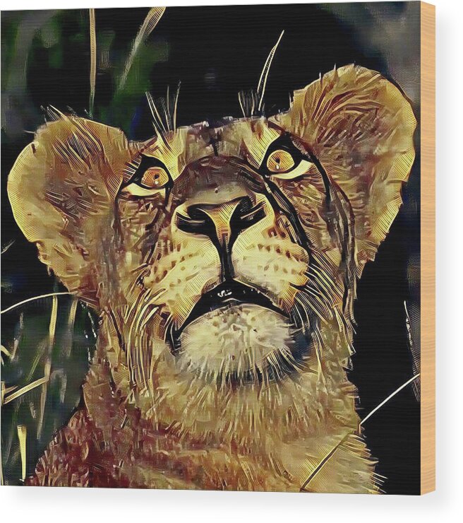 Lion Wood Print featuring the photograph Lion looking up by Gini Moore