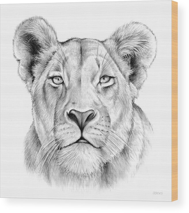 Animal Wood Print featuring the drawing Lioness by Greg Joens