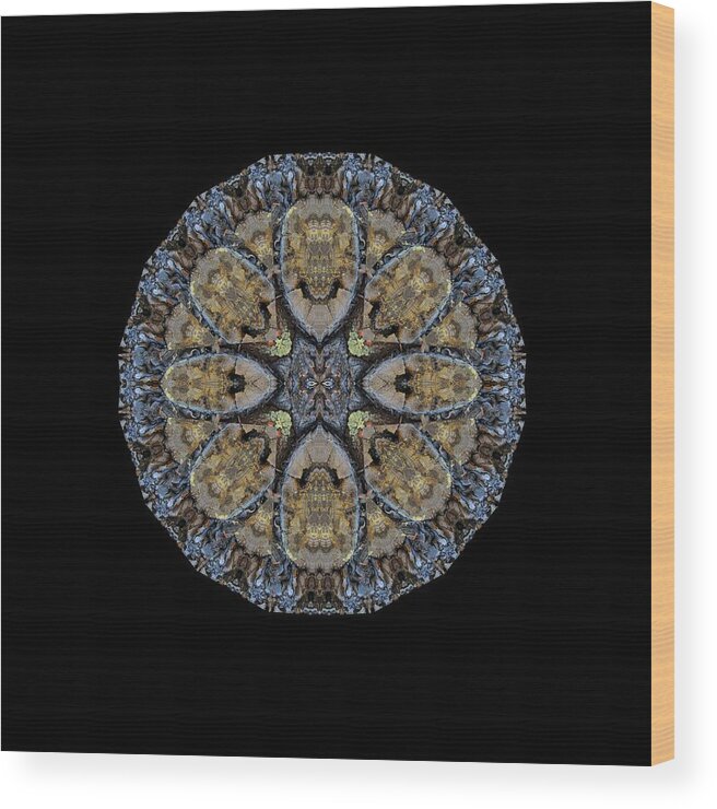 Mandala Wood Print featuring the digital art Log Priests Gathered Around Ghostly Face by Julia L Wright