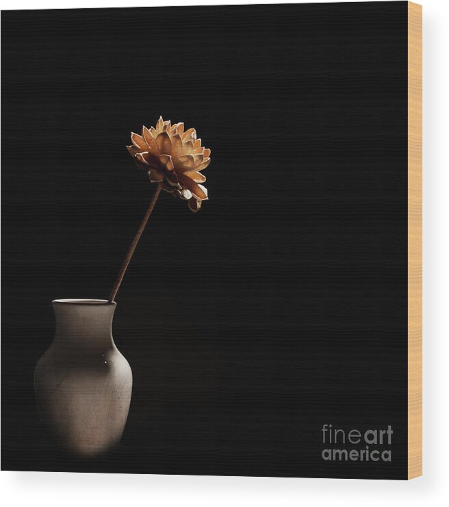 Flower Wood Print featuring the photograph Lone Flower by Michael James
