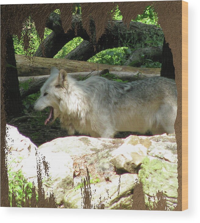 Look From The Den Wood Print featuring the photograph Look From The Den by Debra   Vatalaro