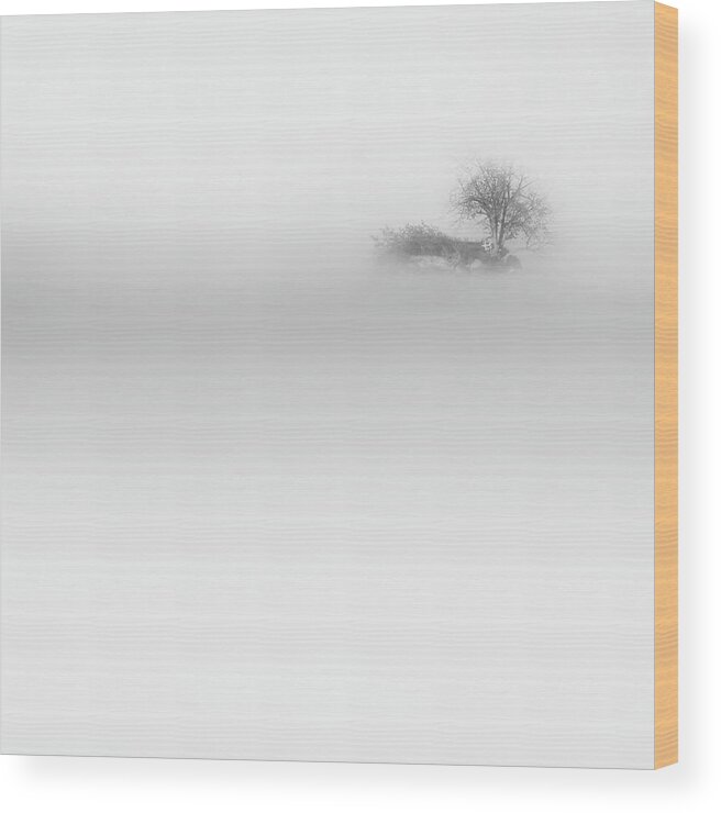 Minimalism Wood Print featuring the photograph Lost Island Square by Bill Wakeley