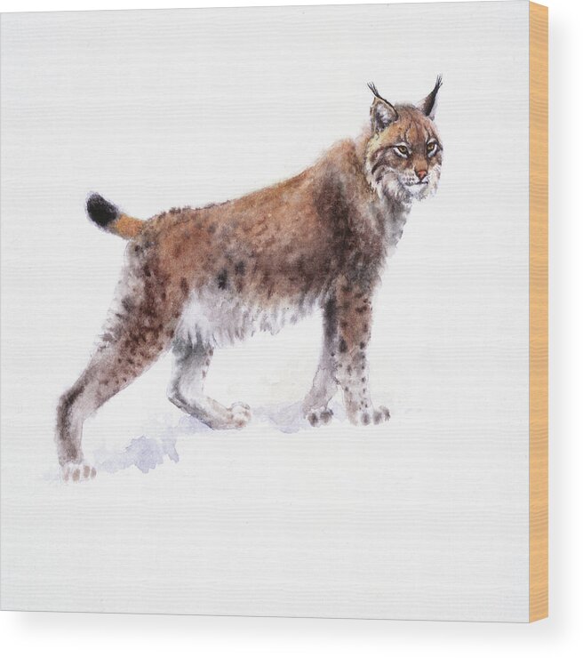 Lynx Wood Print featuring the painting Lynx by Attila Meszlenyi