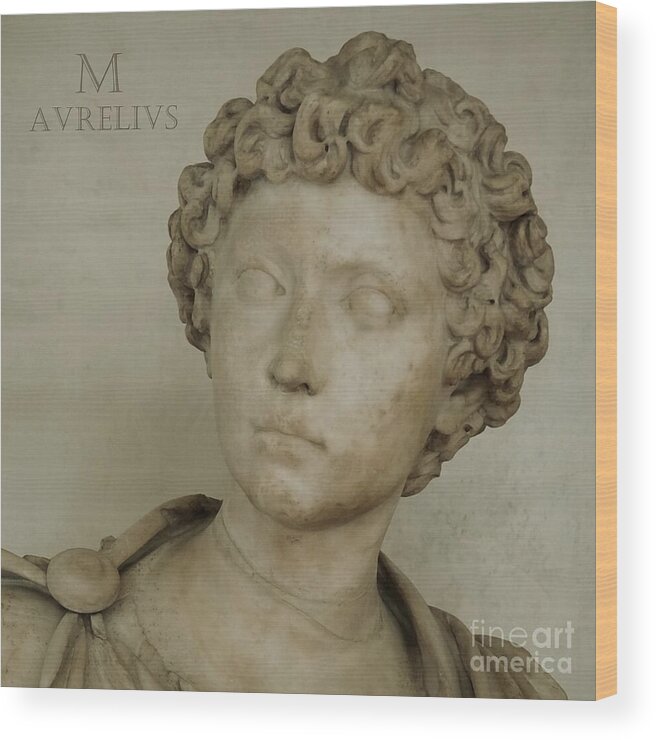 Statue Wood Print featuring the photograph M Aurelius Bust by Patricia Strand