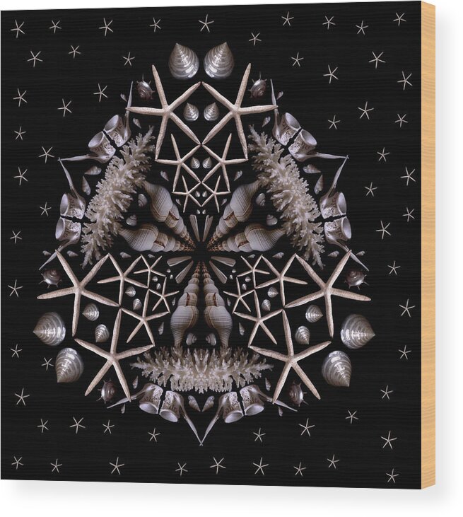 Shell Wood Print featuring the photograph Mandala White Sea Star by Nancy Griswold