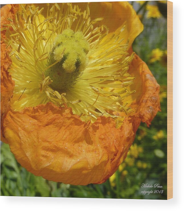 Flower Photograph Wood Print featuring the photograph Mellow Yellow - signed by Michele Penn