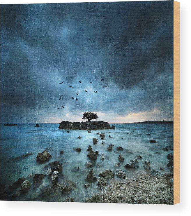 Sea Wood Print featuring the photograph Misty Blue by Philippe Sainte-Laudy