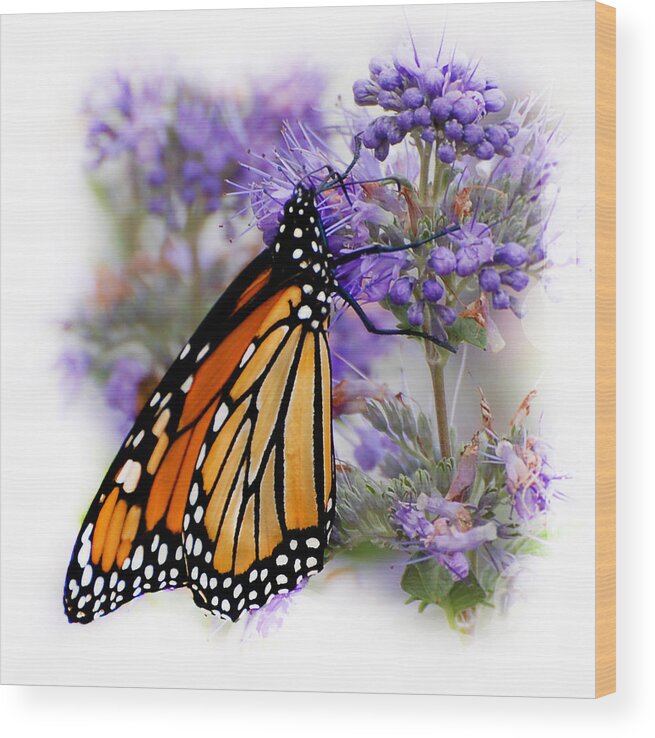 Monarch Wood Print featuring the photograph Monarch with Closed Wings by Kathleen Stephens