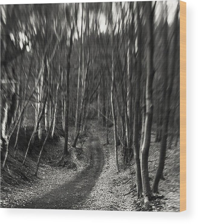Composerpro Wood Print featuring the photograph #monochrome #lensbaby #composerpro by Mandy Tabatt