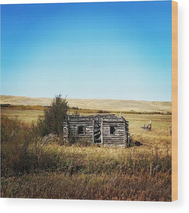 Montana Wood Print featuring the photograph Cabin by Ashley Loza