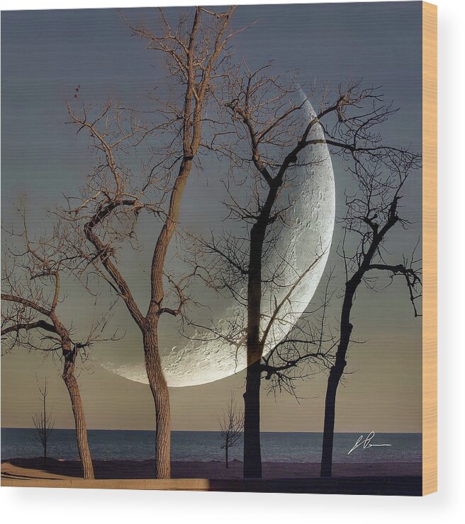Moon Wood Print featuring the photograph Moon and Trees by Jackson Pearson
