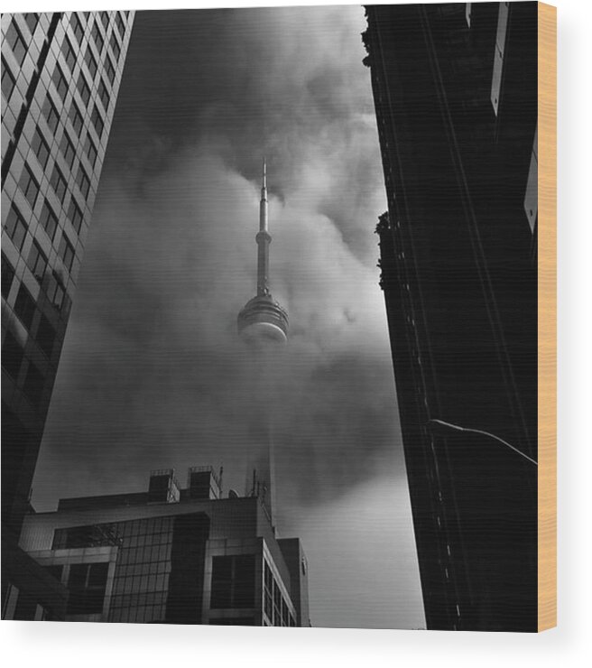 Bnw_city Wood Print featuring the photograph More Downtown Toronto Fogfest by Brian Carson