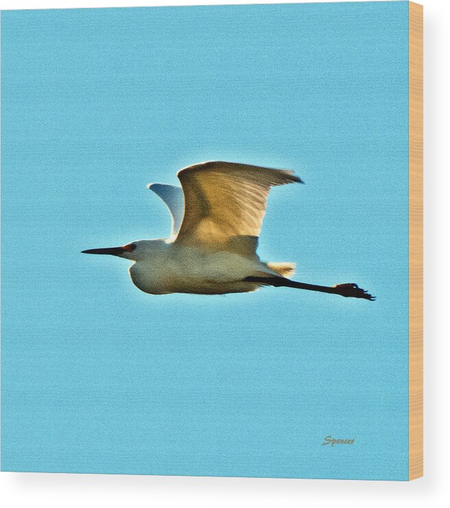 Egret Wood Print featuring the photograph Morning Flight by T Guy Spencer