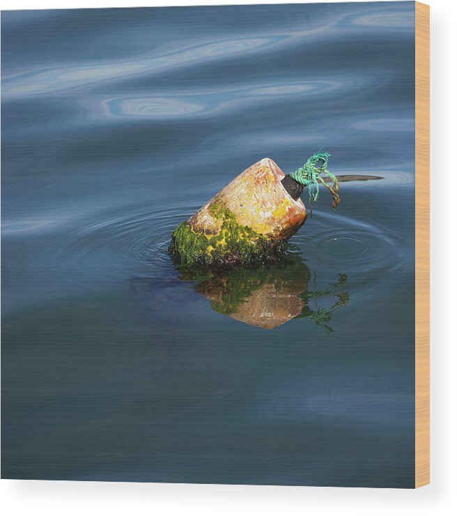 Port San Luis Wood Print featuring the photograph Mossy Buoy by Art Block Collections
