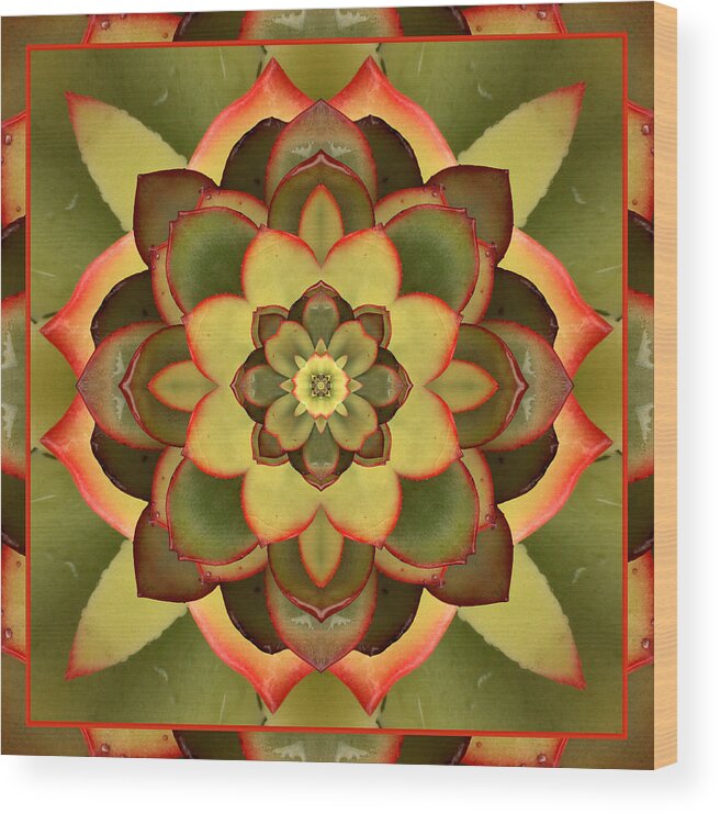 Mandalas Wood Print featuring the photograph Mother Lotus by Bell And Todd