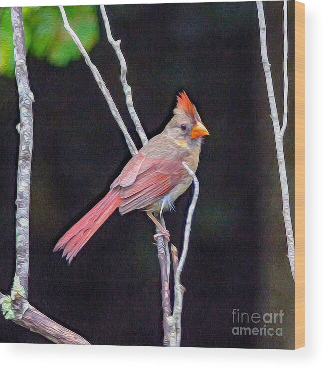 Nature Wood Print featuring the painting Female Cardinal by DB Hayes