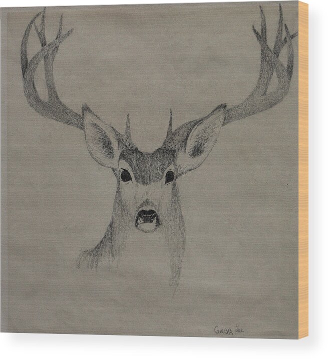 Mule Wood Print featuring the drawing Mule Deer 1 by Gregory Lee