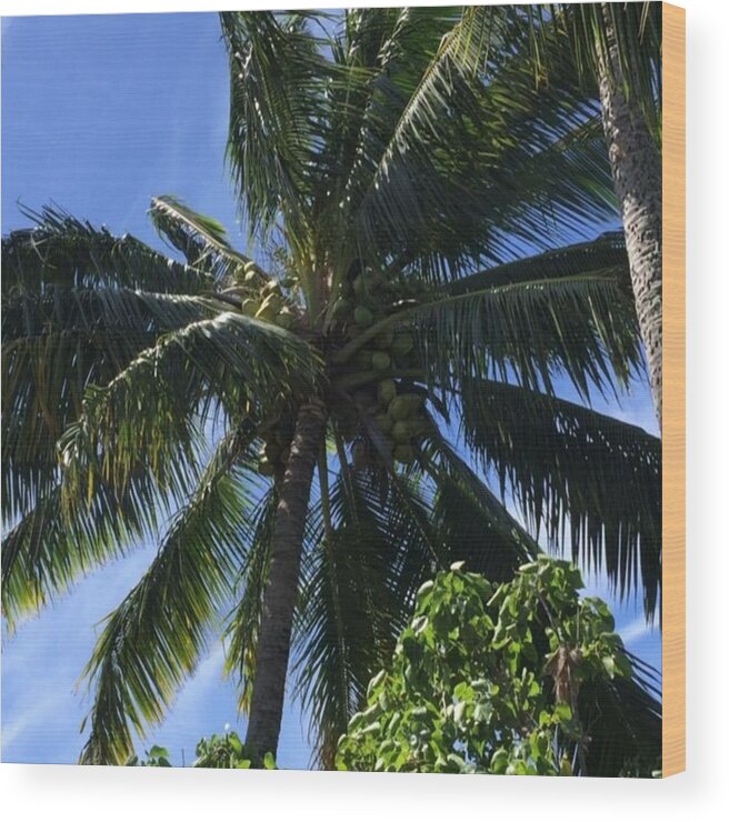 Maui Wood Print featuring the photograph My Backyard #maui by Darice Machel McGuire