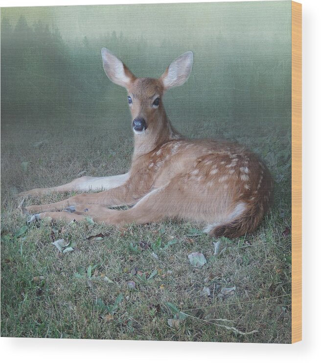 Surreal Deer Wood Print featuring the photograph Mystic Fawn by Sally Banfill