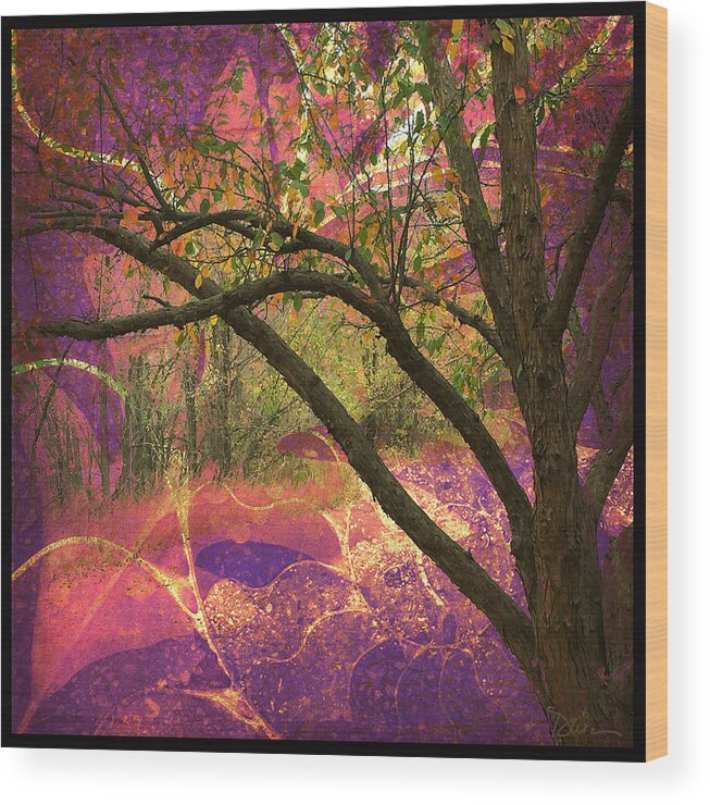Trees Wood Print featuring the photograph Mystic Forest by Peggy Dietz
