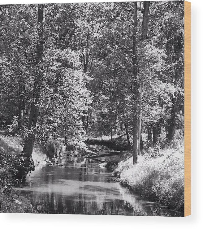 Great Seneca Creek Wood Print featuring the photograph Nadine's Creek in Black and White by Kathy Kelly