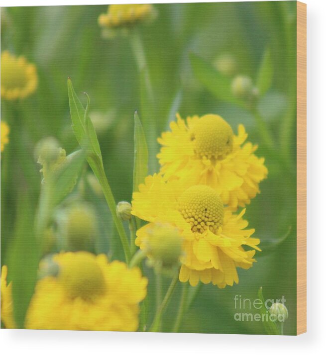 Yellow Wood Print featuring the photograph Nature's Beauty 93 by Deena Withycombe