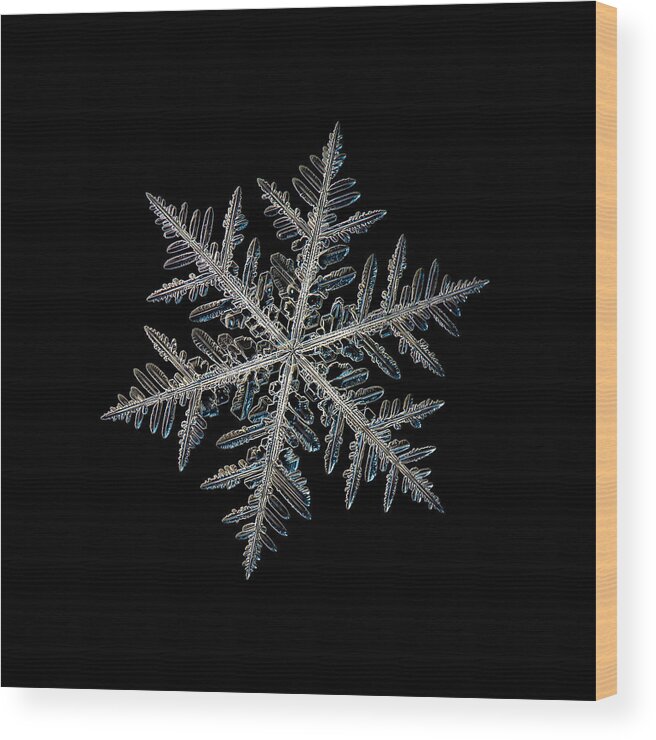 Snowflake Wood Print featuring the photograph Neon, black version by Alexey Kljatov