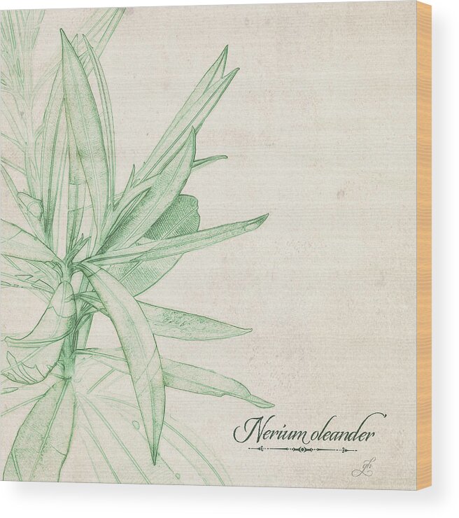 Botanical Sketch Wood Print featuring the digital art Nerium oleander by Gina Harrison