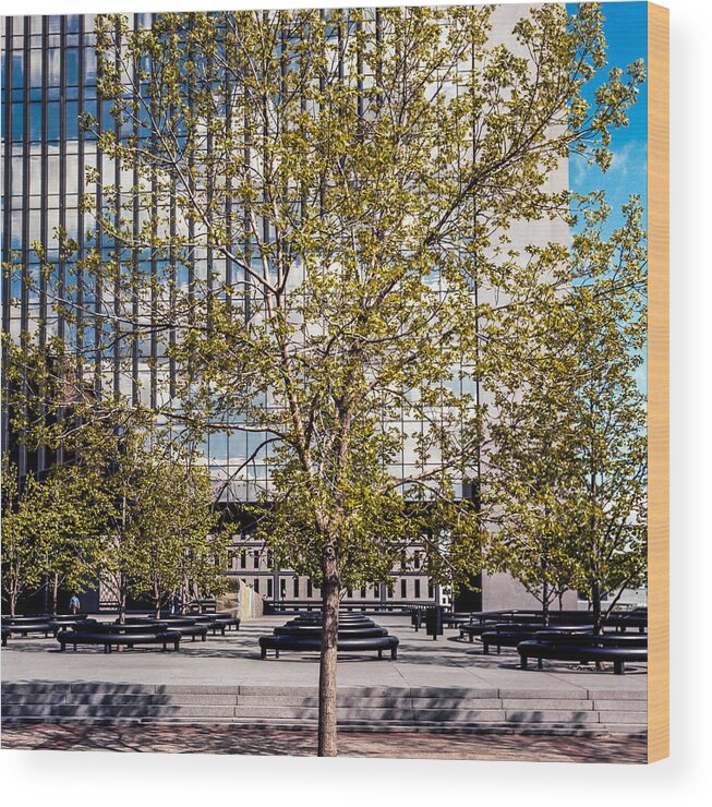 Minneapolis Wood Print featuring the photograph Trees on Fed plaza by Mike Evangelist