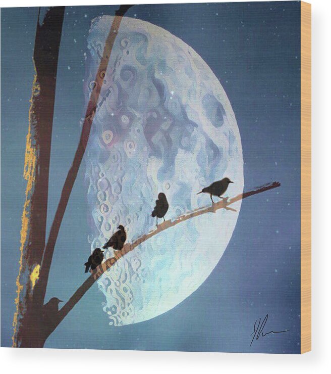 Birds Wood Print featuring the photograph Night by Jackson Pearson
