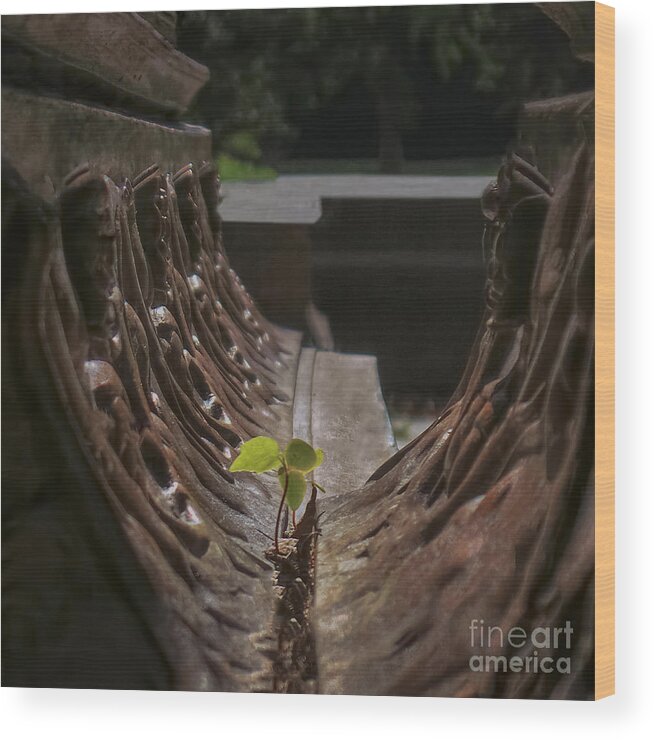 Motivational Wood Print featuring the photograph No Excuses by Charlie Cliques