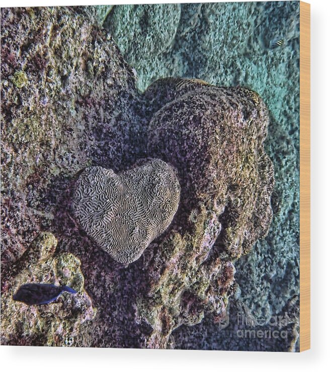 Heart Wood Print featuring the photograph Ocean love by Peggy Hughes
