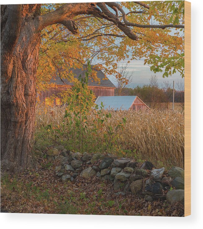 October Wood Print featuring the photograph October Morning 2016 Square by Bill Wakeley