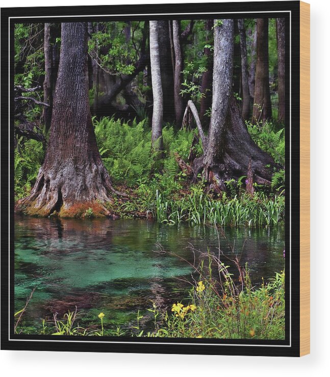 Blue Springs Wood Print featuring the photograph Oh So Blue by Sheri McLeroy