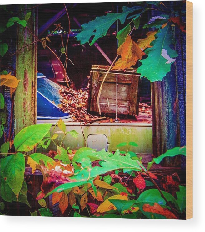 Backroads Wood Print featuring the photograph Old Car, Collapsed Shed. #ondragontime by Alex Haglund