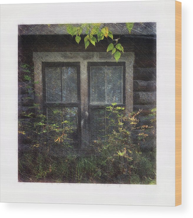 Window Wood Print featuring the photograph Old Window 2 by Priska Wettstein