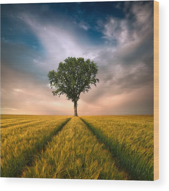 Tree Wood Print featuring the photograph One by Piotr Krol (bax)