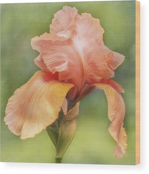 Flower Wood Print featuring the photograph Orange Maid by Linda Szabo