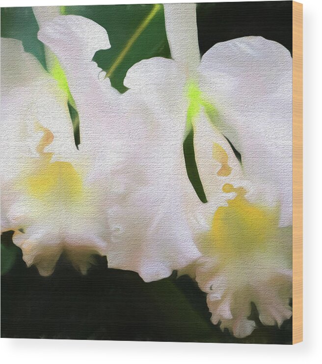 Orchids Wood Print featuring the photograph Orchids O'Keeffe by John Freidenberg