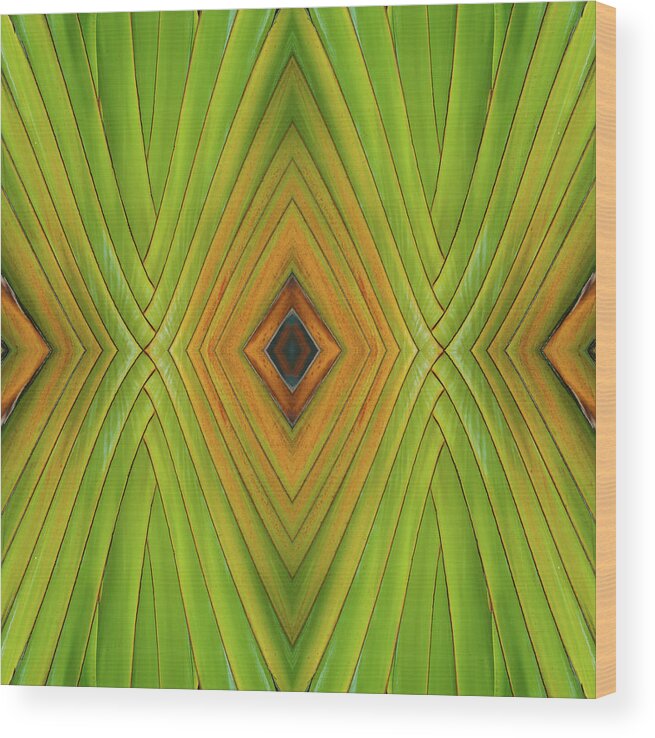 Abstract Wood Print featuring the photograph Palm Abstract IV by Michelle Constantine