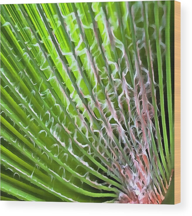Leaf Wood Print featuring the painting Palm Tree Tropical Leaf by Taiche Acrylic Art