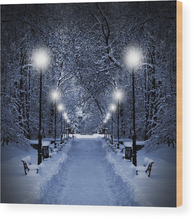 Beautiful Wood Print featuring the photograph Park at Christmas by Jaroslaw Grudzinski