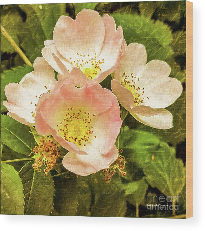 Mona Stut Wood Print featuring the digital art Past And Present Roses by Mona Stut