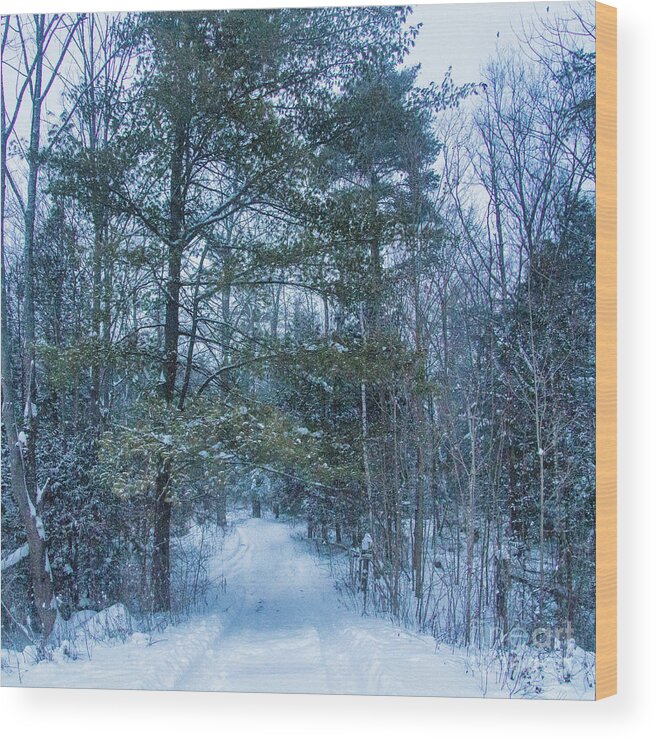 Campbellville Wood Print featuring the photograph Path to the Gazebo by Marilyn Cornwell