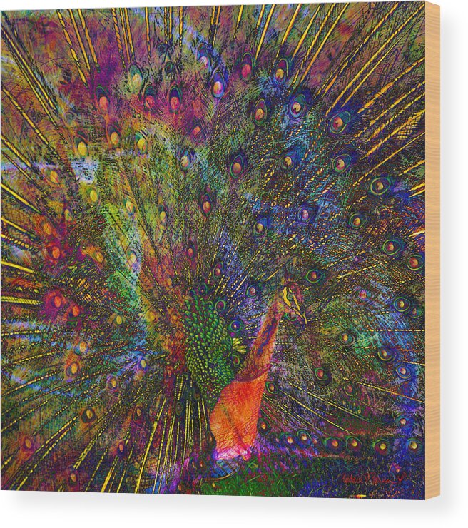 Peacock Wood Print featuring the digital art Peacock by Barbara Berney