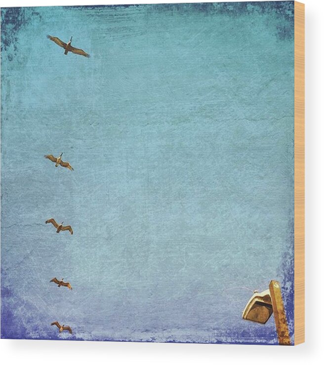 Distressedfx Wood Print featuring the photograph Pelican Fly Over #gulfshoresalabama by Joan McCool