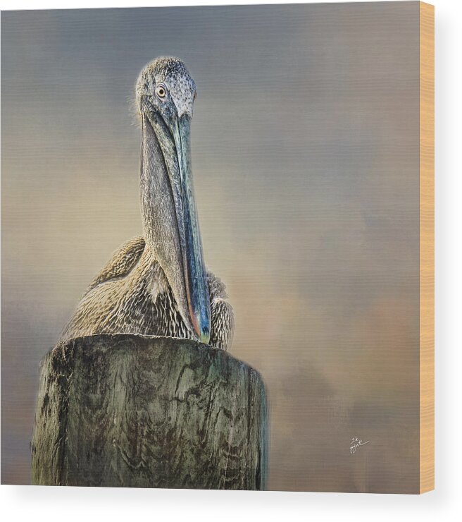Pelicans Wood Print featuring the photograph Pelican In Paradise Squared by TK Goforth