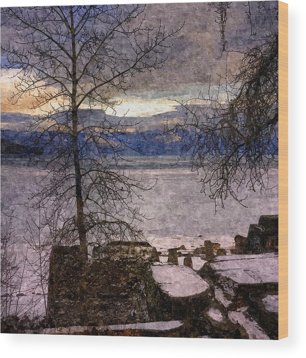Scenic Wood Print featuring the photograph Pend d'Oreille Lake 2 by Lee Santa